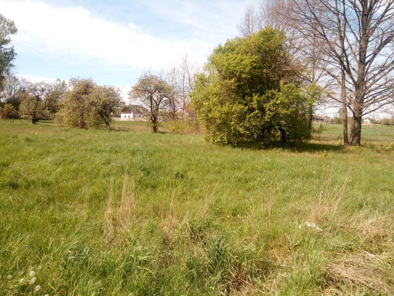 Działka budowlana Pogroszyn. Zdjęcie 3