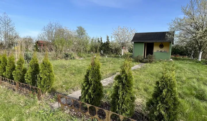 Działka rod Brzeg, ul. Małujowicka