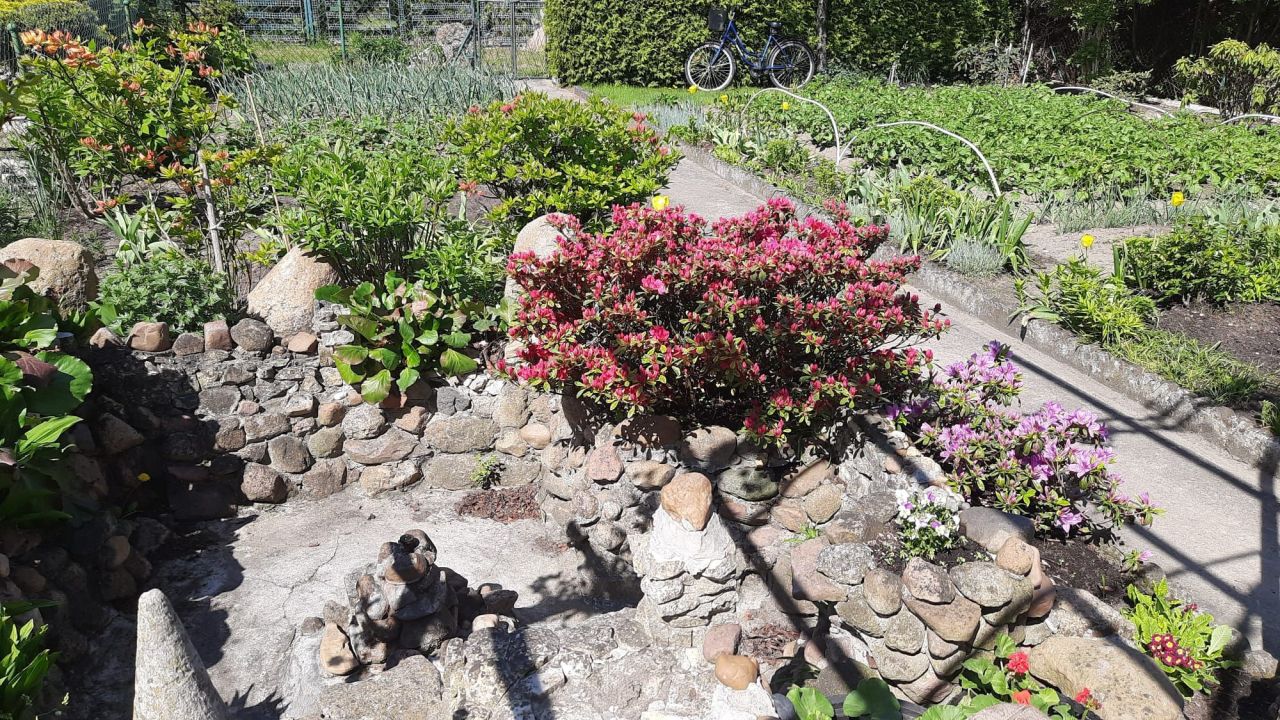 Działka rod Dziewkowice. Zdjęcie 2