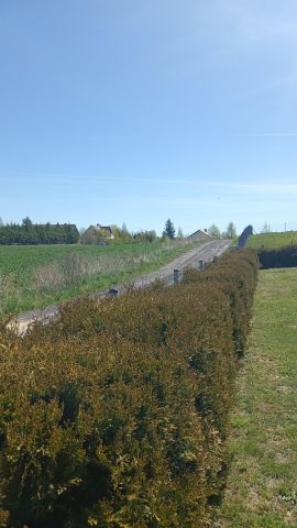 Działka rolno-budowlana Kożuchy Wielkie. Zdjęcie 12