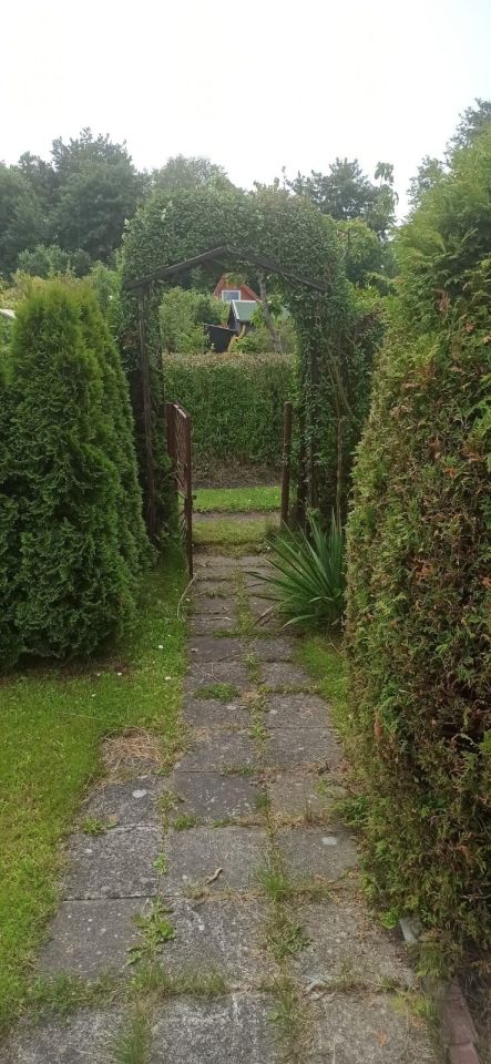 Działka rod Zimowiska. Zdjęcie 2