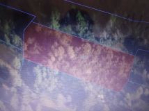 Działka leśna Pieniążkowice. Zdjęcie 1