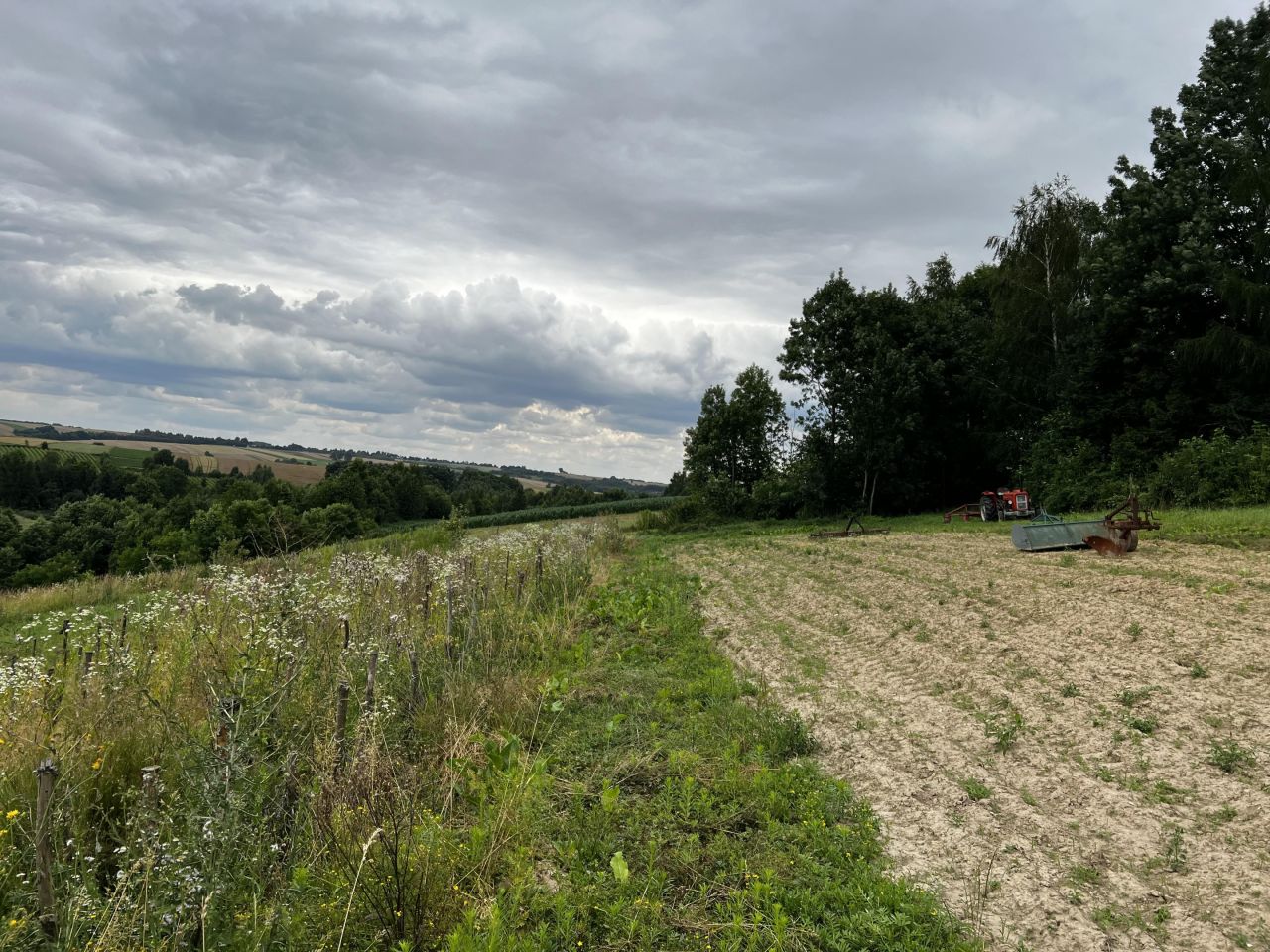 dom wolnostojący, 5 pokoi Poręba Laskowska. Zdjęcie 5