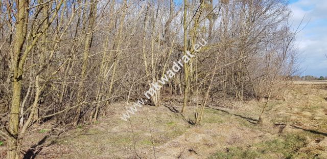 Działka budowlana Sochaczew. Zdjęcie 5