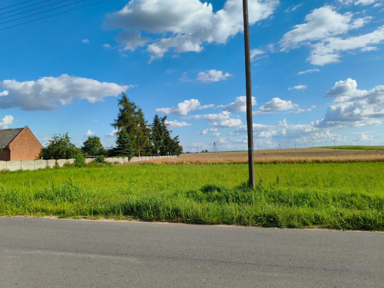 Działka budowlana Lisew. Zdjęcie 1