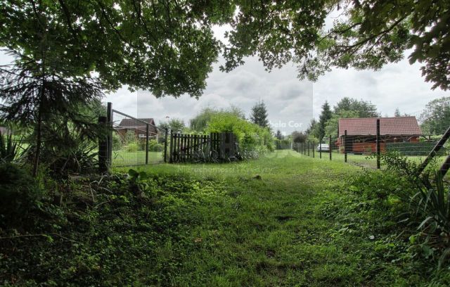 Działka budowlana Trzebawie. Zdjęcie 6