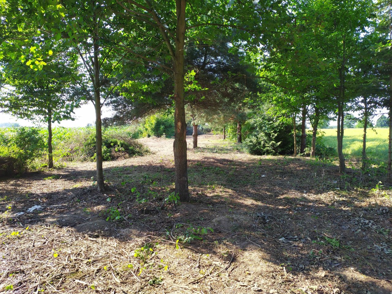 Działka budowlana Nielepkowice. Zdjęcie 3