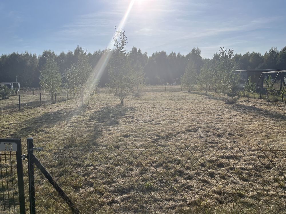 Działka rod Osuchów. Zdjęcie 4