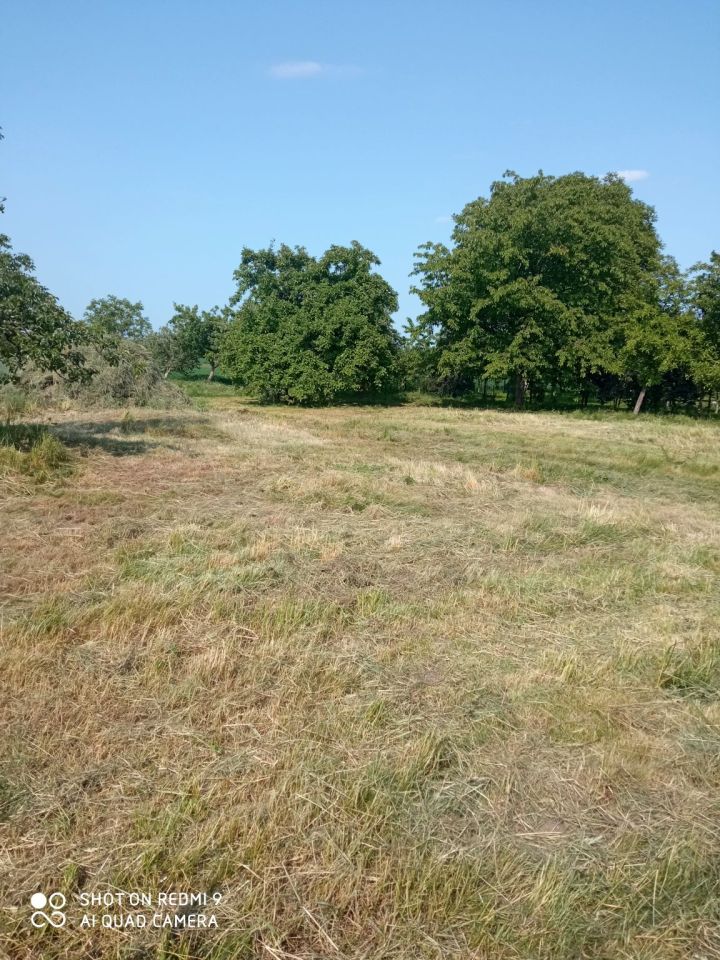 Działka budowlana Sichów. Zdjęcie 5