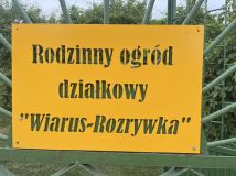 Działka rekreacyjna Siedlce, ul. Południowa