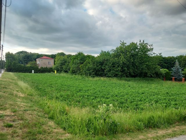 Działka budowlana Bychawa. Zdjęcie 1