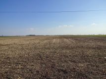 Działka rolno-budowlana Strączno. Zdjęcie 1