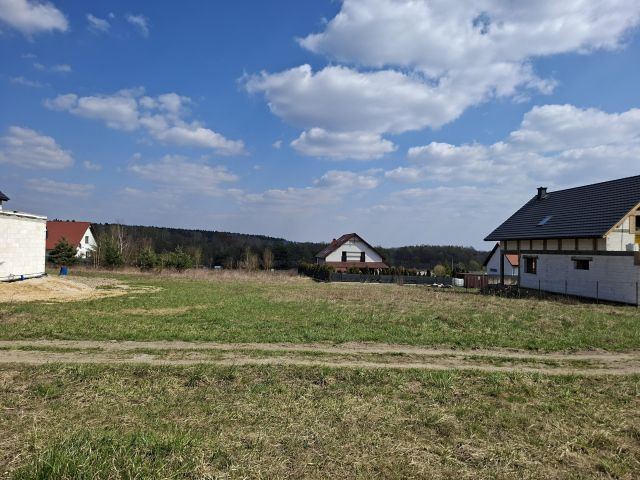 Działka rolno-budowlana Ludgierzowice. Zdjęcie 1