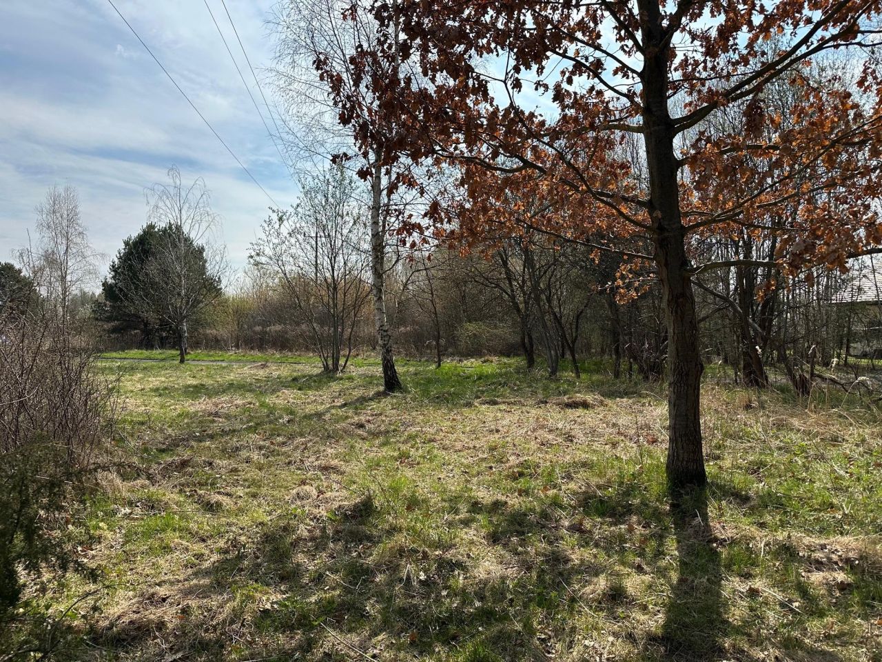 Działka rolno-budowlana Wąchock, ul. Tychowska. Zdjęcie 4