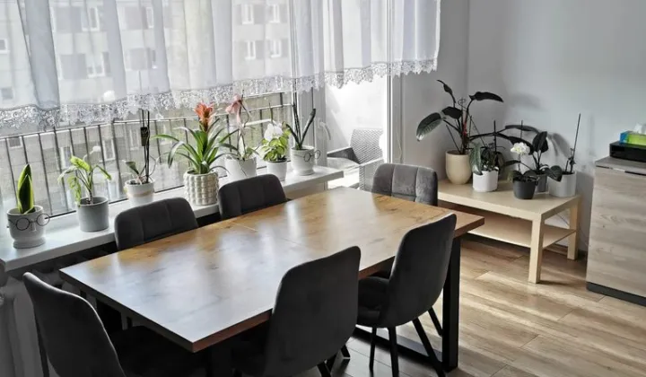 Mieszkanie 3-pokojowe Pabianice Bugaj, ul. Jadwigi Wajsówny