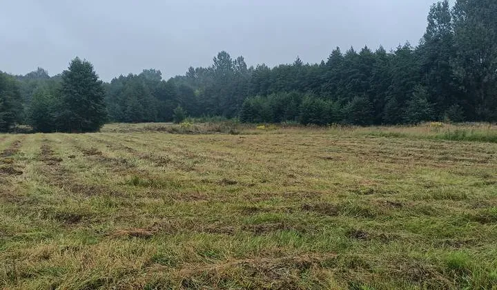 Działka rolna Wólka Czułczycka