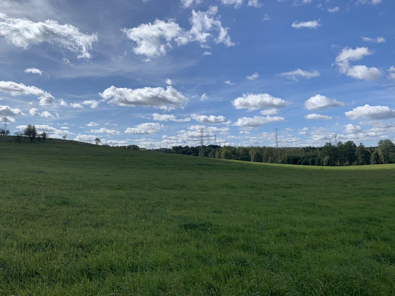 Działka budowlana Zalbki. Zdjęcie 10