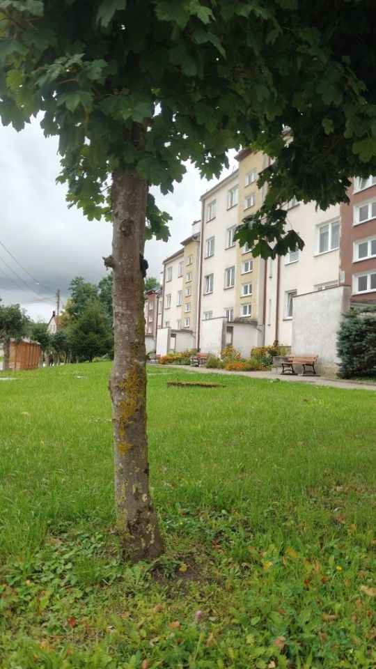 Mieszkanie 3-pokojowe Pieniężno, ul. Wolności. Zdjęcie 3