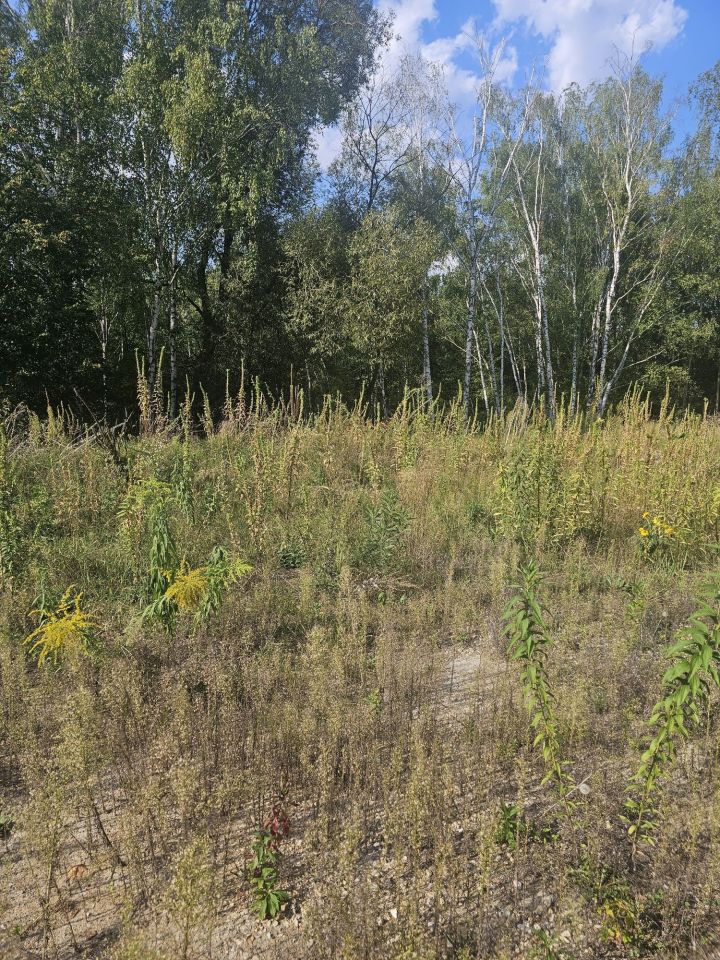 Działka budowlana Dąbrowa Górnicza. Zdjęcie 3