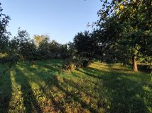 Działka rolna Suchań, ul. Młyńska. Zdjęcie 2