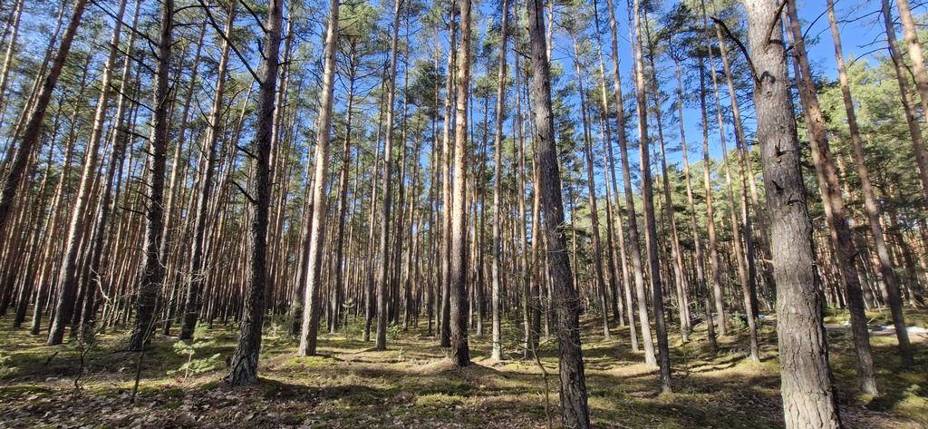 Działka rekreacyjna Osiedle Wilga. Zdjęcie 2