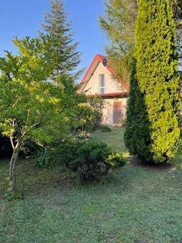 bliźniak Kutno. Zdjęcie 3