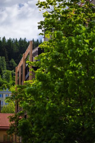 Mieszkanie 1-pokojowe Krynica-Zdrój. Zdjęcie 15