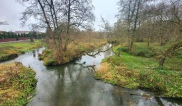 Działka rekreacyjna Wola Młocka