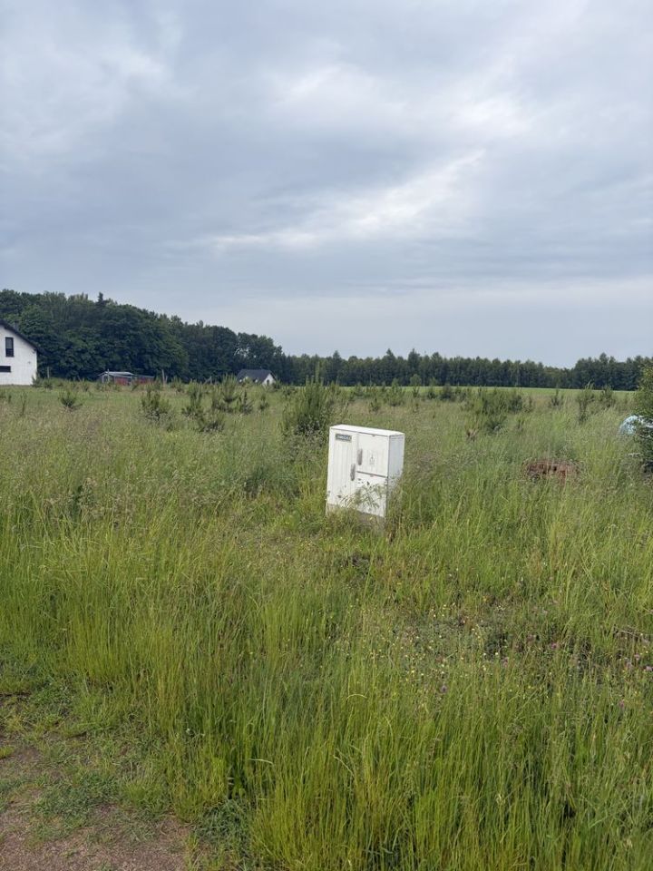 Działka siedliskowa Kleszczyniec. Zdjęcie 2