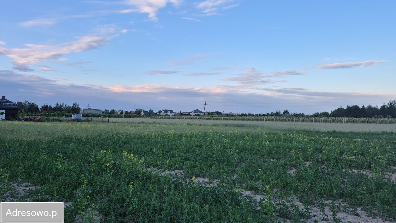 Działka rolno-budowlana Grudzkowola. Zdjęcie 4