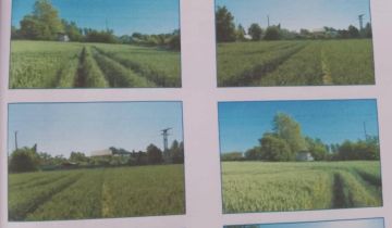 Działka budowlana Sławoszyno