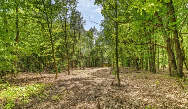 Działka budowlana Jabłonna