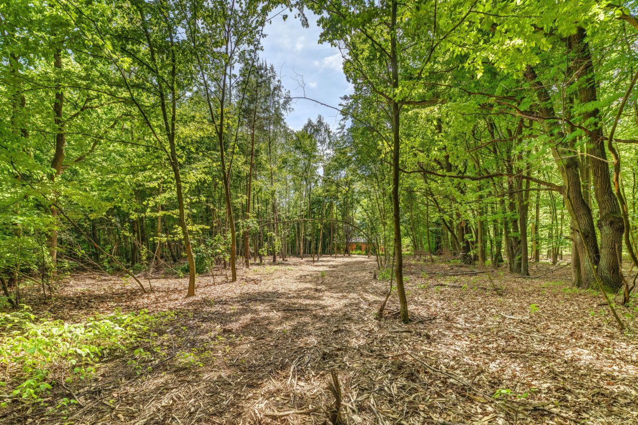 Działka budowlana Jabłonna. Zdjęcie 1