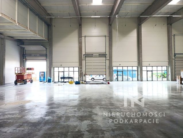 Hala/magazyn Rzeszów Dworzysko, ul. Biznesowa. Zdjęcie 14