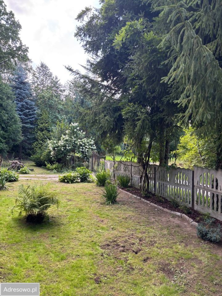 dom wolnostojący, 3 pokoje Zdonia. Zdjęcie 11