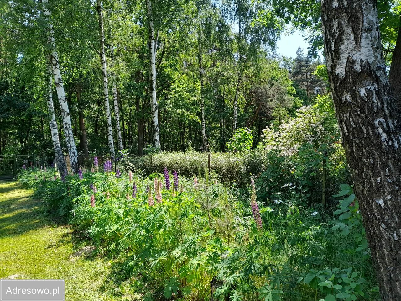 dom letniskowy Zawady, ul. Jerzyka. Zdjęcie 7