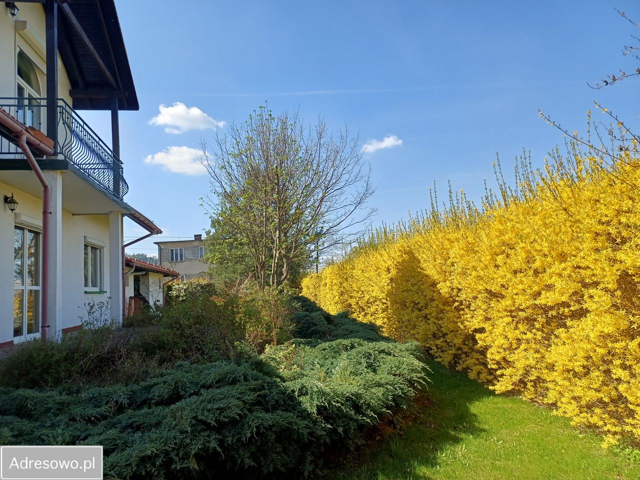 dom wolnostojący, 7 pokoi Targanice Wawrzynówka. Zdjęcie 17