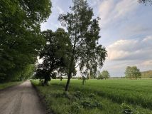 Działka budowlana Przyłuki. Zdjęcie 3