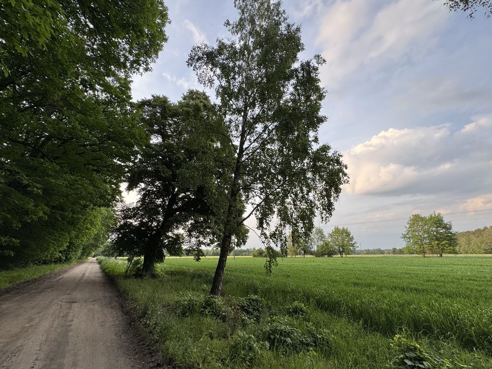 Działka budowlana Przyłuki. Zdjęcie 4