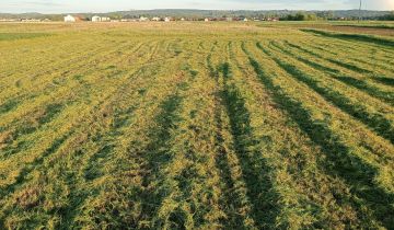 Działka budowlana Rzeszów Budziwój, Senatorska