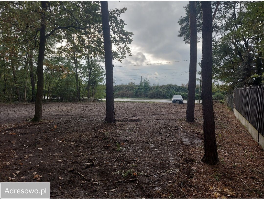 Działka budowlana Budy-Grzybek, ul. Chełmońskiego