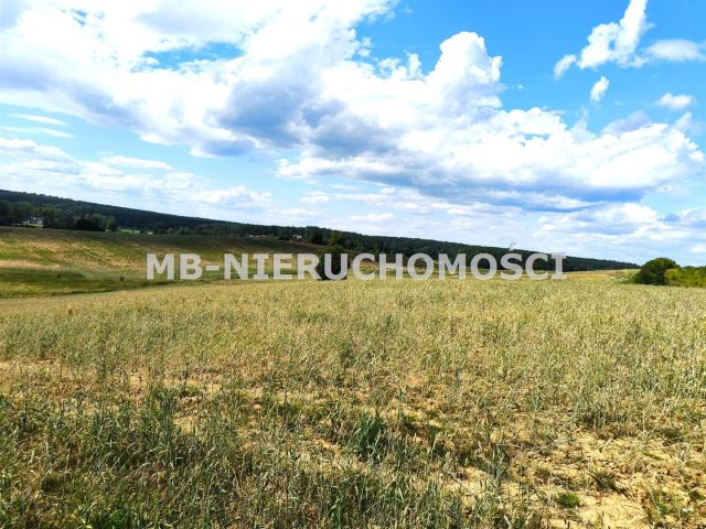 Działka budowlana Jaroty. Zdjęcie 5