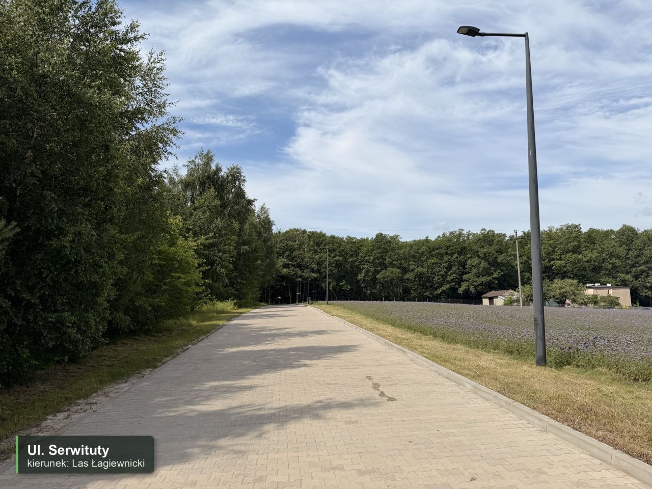 Działka budowlana Klęk. Zdjęcie 10
