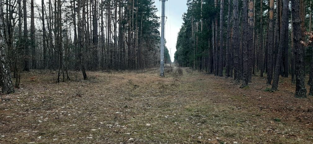 Działka rekreacyjna Radawa. Zdjęcie 4