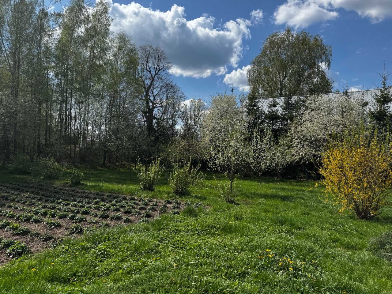 gospodarstwo, 3 pokoje Skieblewo. Zdjęcie 5