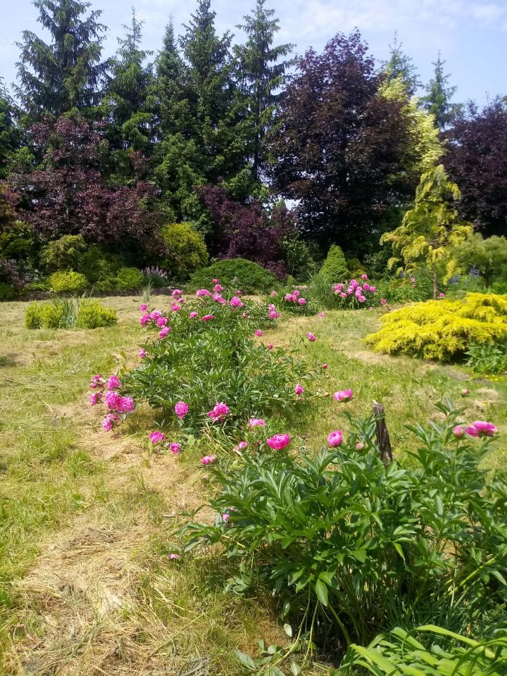 Działka budowlana Życiny. Zdjęcie 15