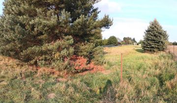 Działka budowlana Pałecznica-Kolonia