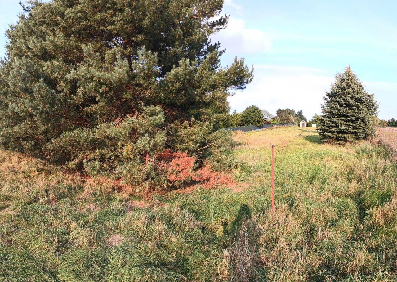 Działka budowlana Pałecznica-Kolonia. Zdjęcie 2