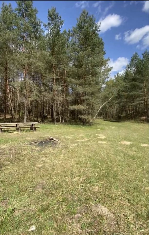 Działka rolna Idzbark. Zdjęcie 2