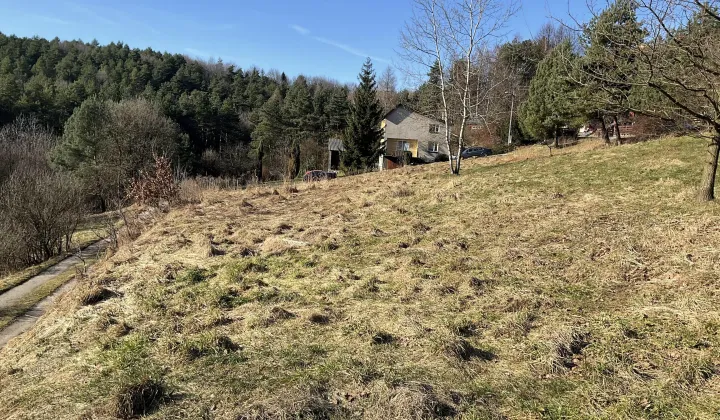 Działka budowlana Nowa Góra Paryż Górny, Paryż Górny